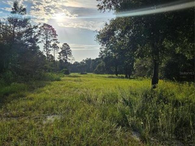 Land for sale in Geneva, Florida