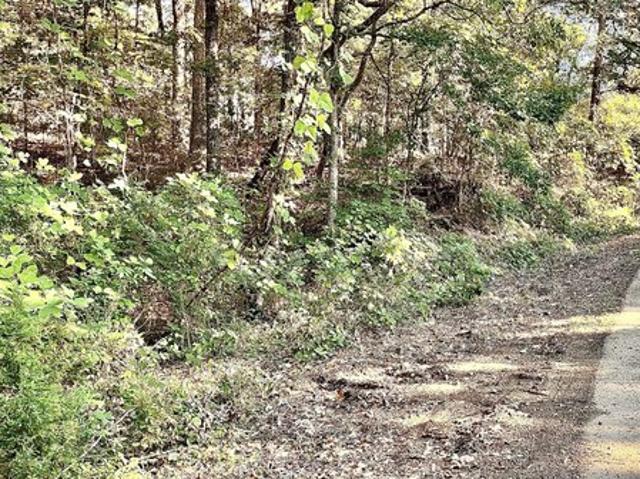 Land for sale in Ashland, Mississippi