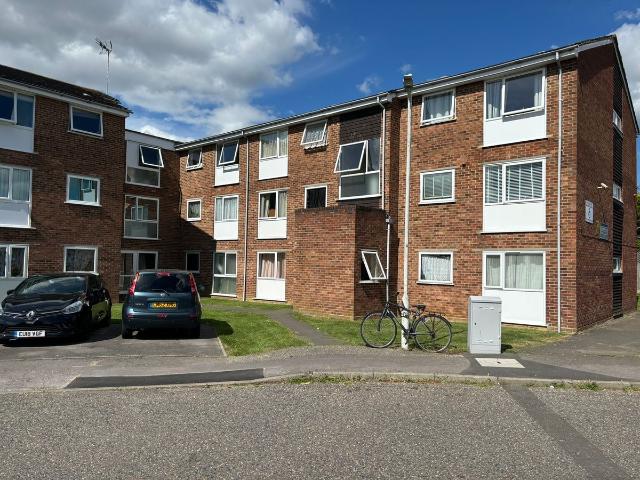Apartment for rent in North Springfield, Chelmsford