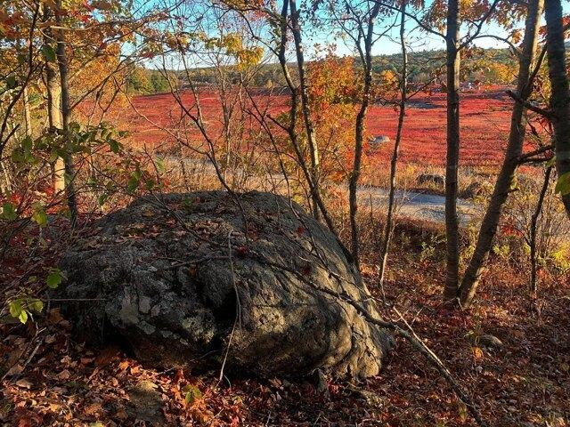Land for sale in Sedgwick, Maine