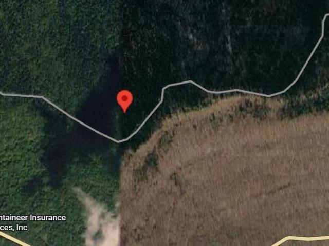 Land for sale in Snowshoe, West Virginia