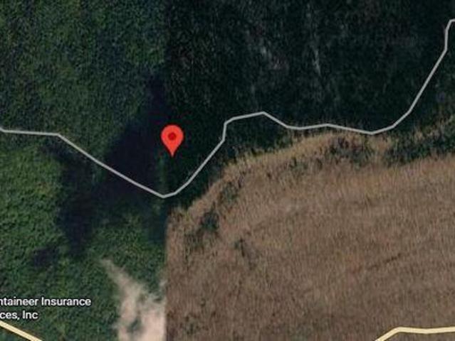 Land for sale in Snowshoe, West Virginia