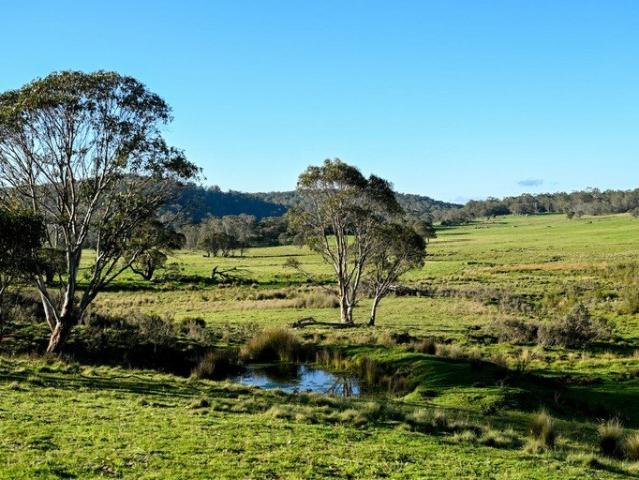 Cottage for sale in Kybeyan, New South Wales