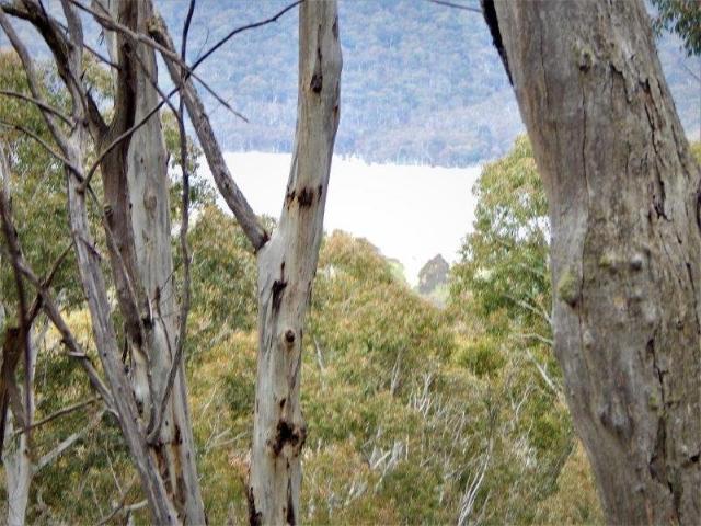 Cottage for sale in Anglers Reach, New South Wales