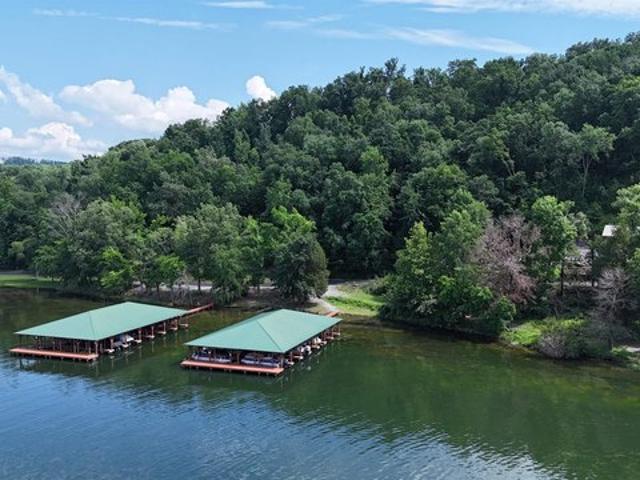 Land for sale in Grant, Alabama