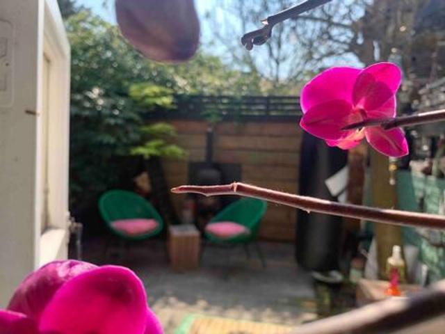 Room for rent in Mortlake, Greater London