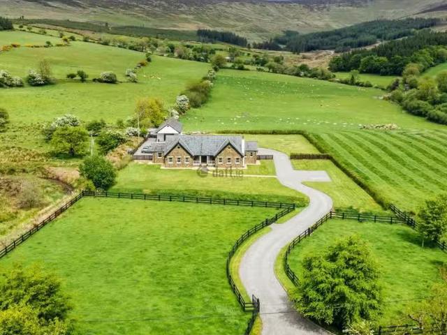 House to rent