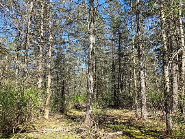 Land for sale in Dryden, New York