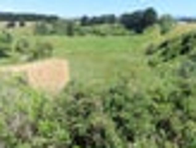 Land for sale in Tararua District