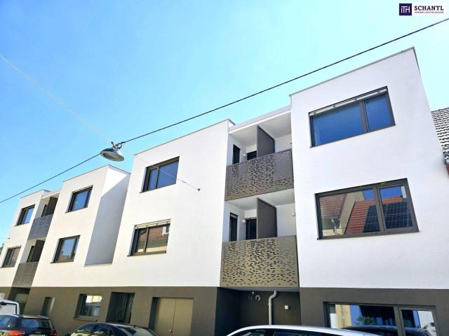Apartment kaufen in Liesing, Wien