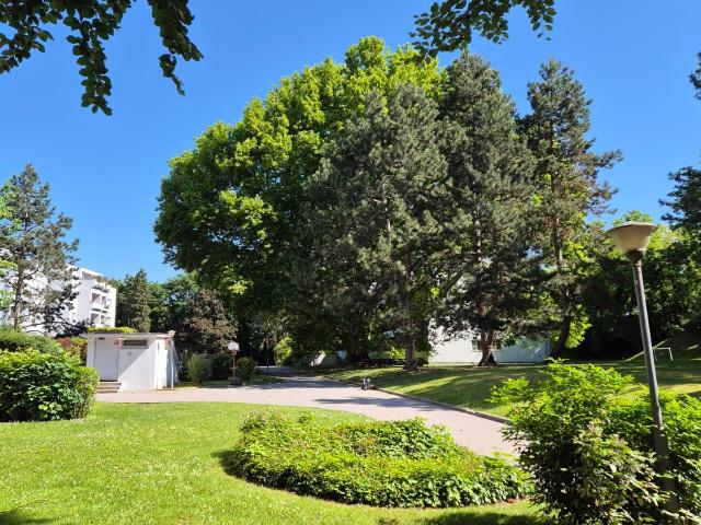 Apartment mieten in Bisamberg, Niederösterreich
