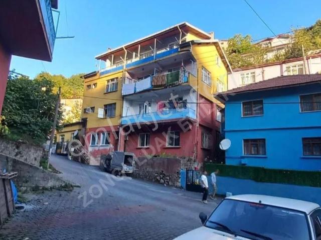 Zonguldak Merkez, Zonguldak içerisinde kiralık mülk