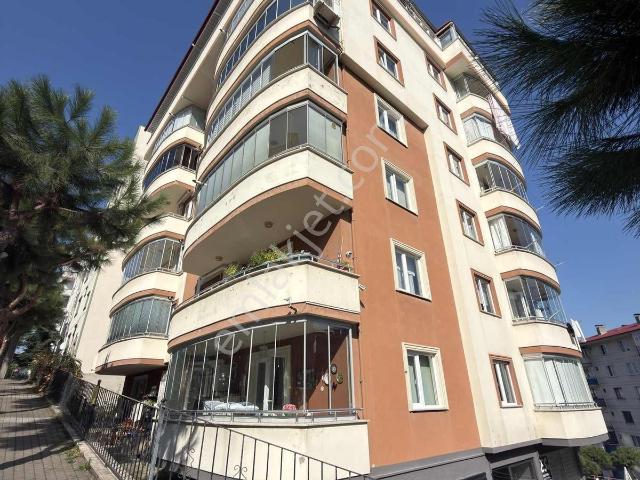 Söğütlü Mahallesi, Akçaabat içerisinde kiralık mülk