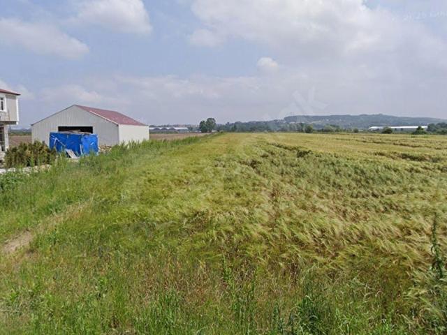 Söğütlü, Sakarya içerisinde satılık Arsa