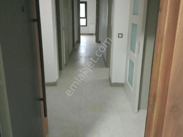 Söğütlü, Çukurova içerisinde kiralık mülk