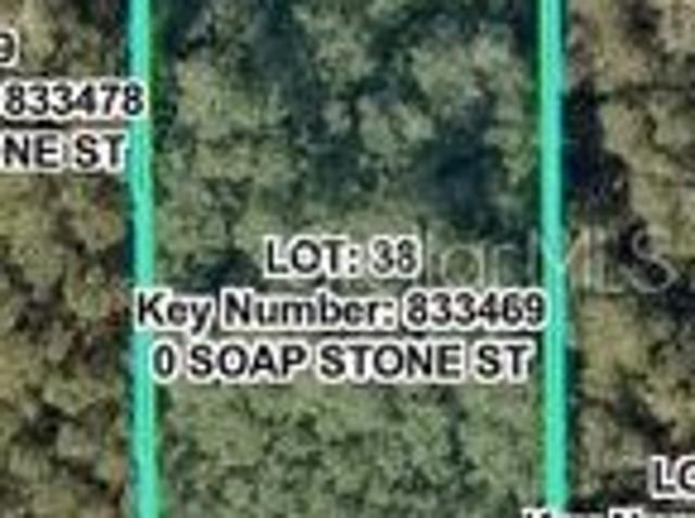 Land for sale in Webster, Florida