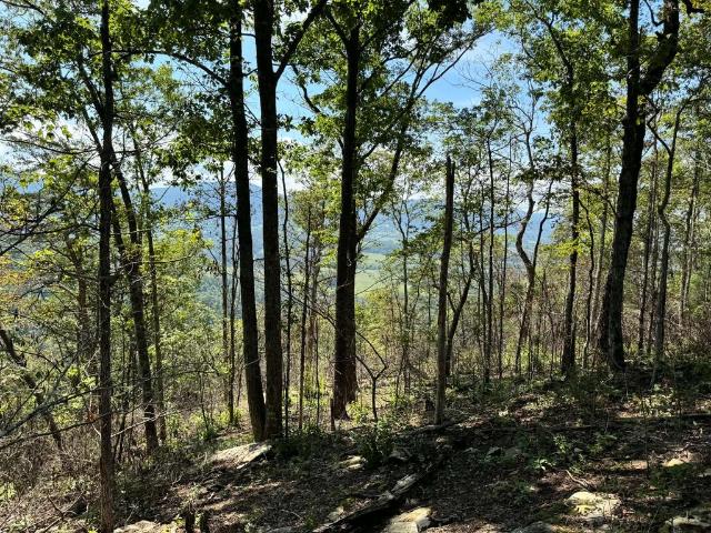 Land for sale in Tennessee