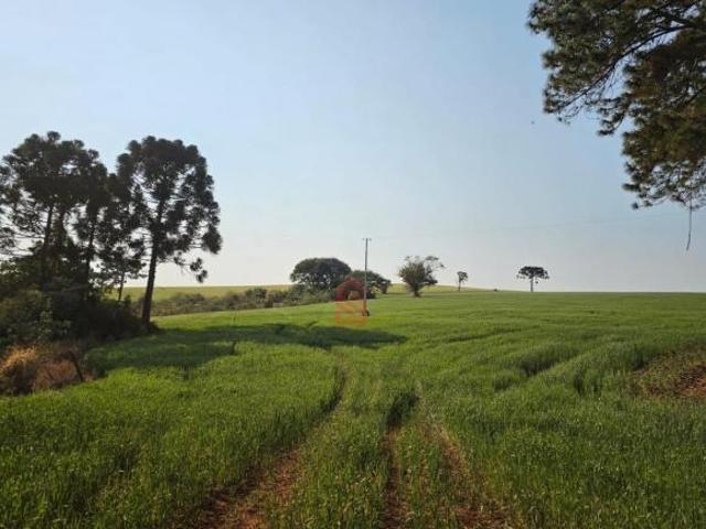 Sítio e chácara venda em Região Geográfica Imediata de Ivaiporã, Ivaiporã