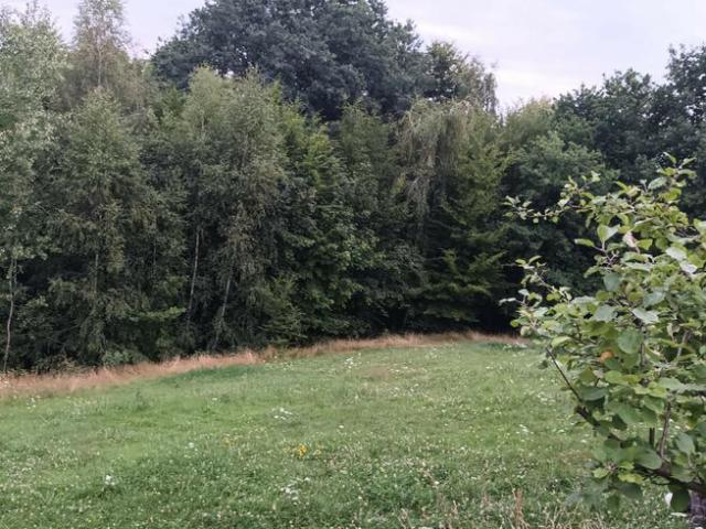 Grunt na sprzedaż w Bochnia, Małopolskie