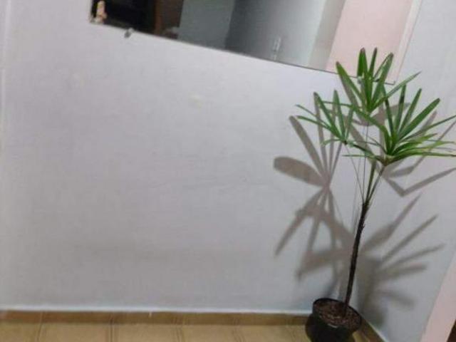 Casa venda em Vila São Pedro, Santo André