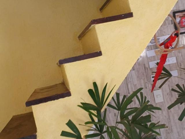 Casa aluguel em Jardim Guaxinduba, Caraguatatuba