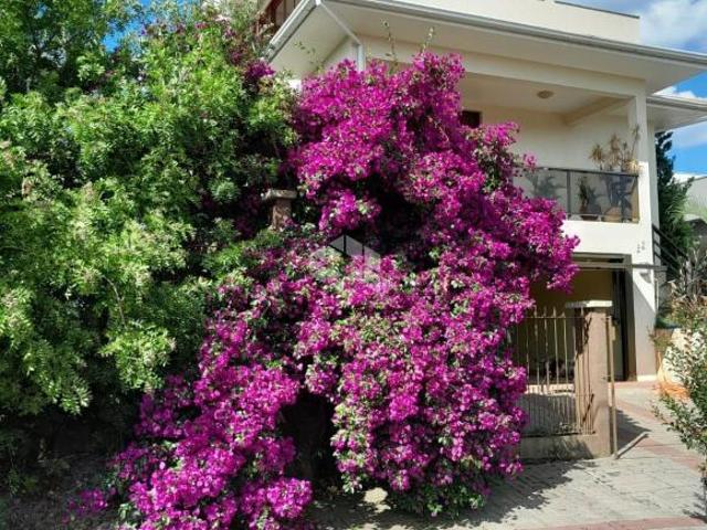 Casa venda em Região Geográfica Imediata de Caxias do Sul, Nova Petrópolis