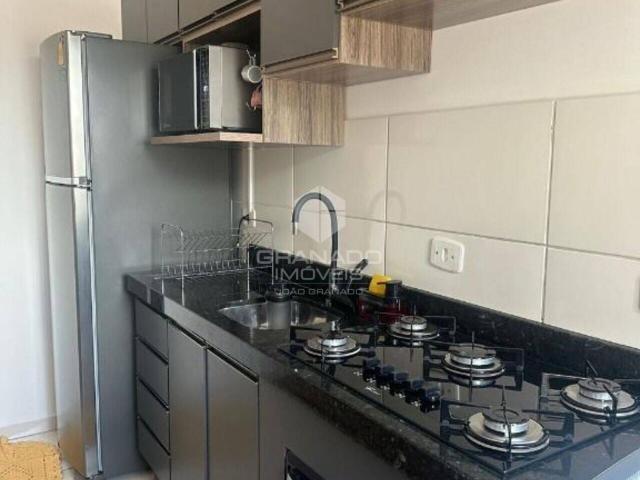 Apartamento aluguel em Região Geográfica Imediata de Maringá, Maringá