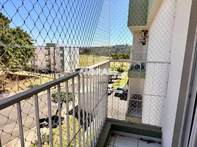 Apartamento aluguel em Região Imediata de Bauru, Bauru