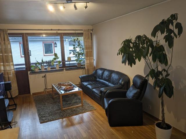 Rum hyra i Umeå, Västerbotten