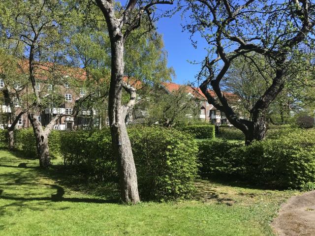 Lägenhet hyra i Helsingborg, Skåne