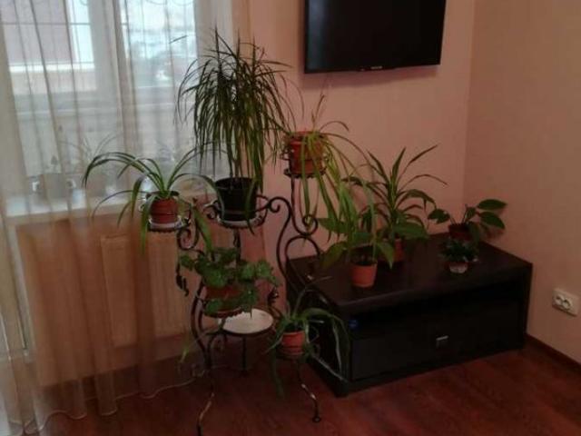 Квартира аренда в Винницкой области