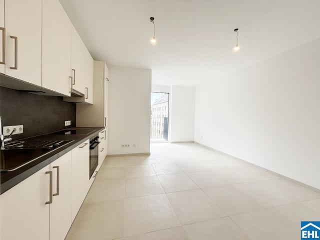 Apartment mieten in KG Inzersdorf Stadt, Wien