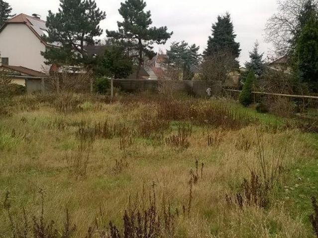 Landwirtschaft kaufen in Deuben, Bennewitz