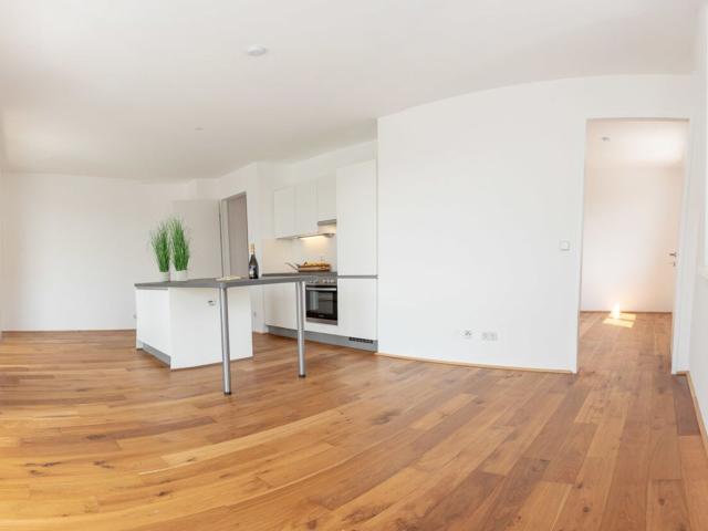 Wohnung mieten in Schwechat, Niederösterreich