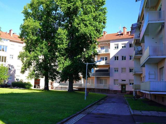 Wohnung kaufen in Bezirk Südoststeiermark, Steiermark