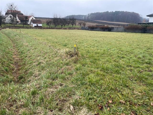 Grundstück kaufen in Ilz, Steiermark