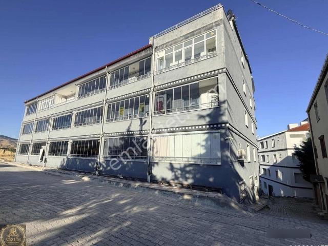 Hacıbalı, Merzifon içerisinde satılık mülk