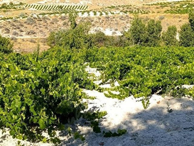 Ürgüp, Nevşehir içerisinde satılık mülk