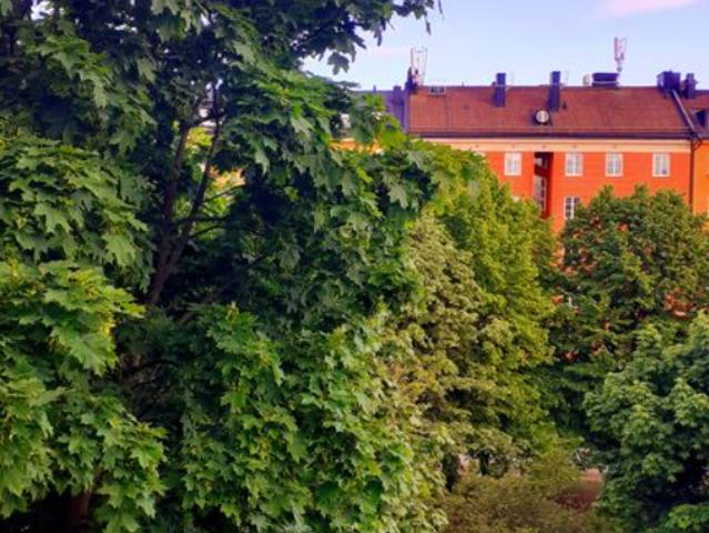 Rum hyra i Södermalms stadsdelsområde, Stockholm