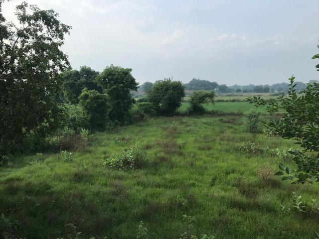 Land for sale in Hariana