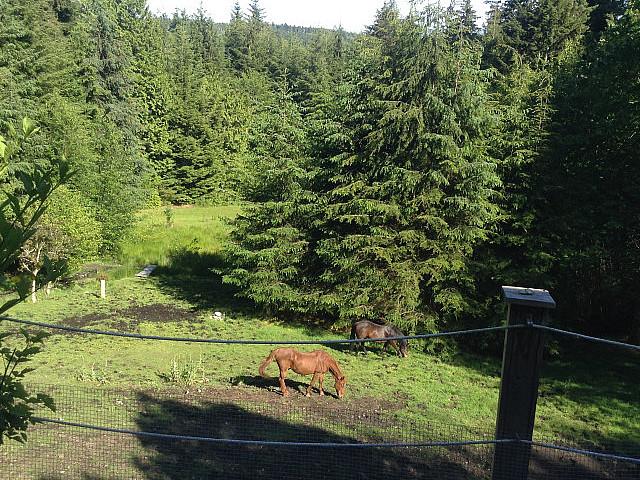 Land for sale in British Columbia