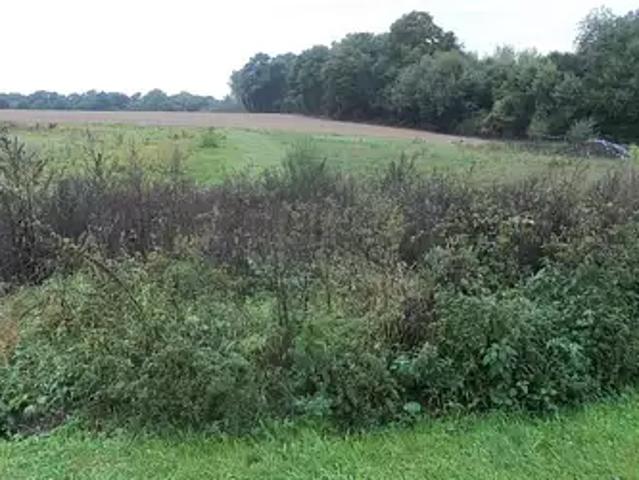Terrain vente à Épernay, Soizy-aux-bois