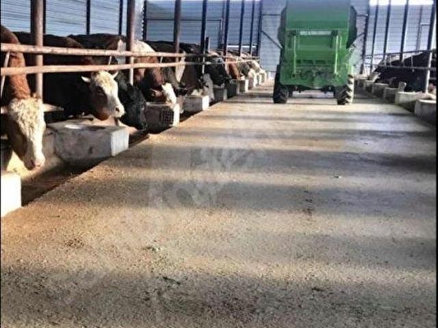 Söke, Aydin içerisinde satılık Fabrika