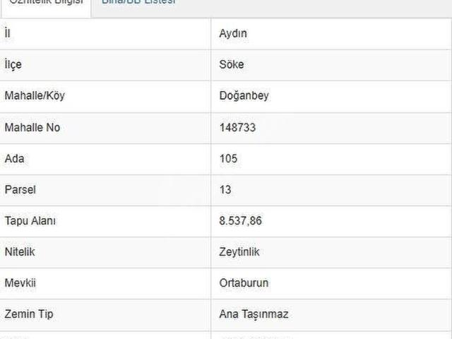 Söke, Aydin içerisinde satılık mülk