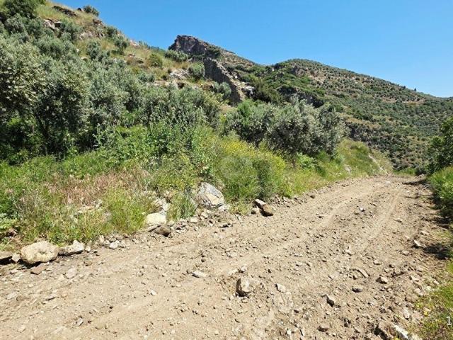 Söke, Aydin içerisinde satılık mülk