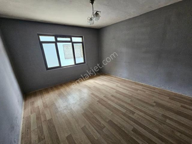 Yenidoğan, Söke içerisinde kiralık mülk