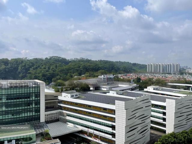 Condominium for sale in Choa Chu Kang, 05 South West