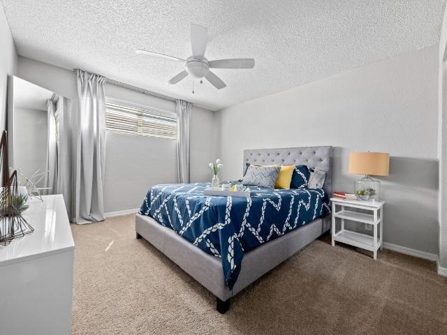 Apartment for rent in Tempe, Arizona