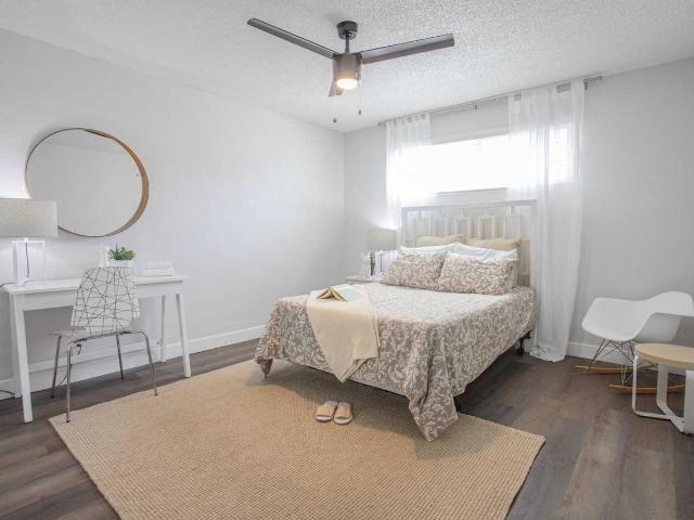 Apartment for rent in Tempe, Arizona