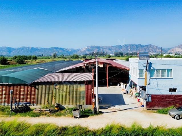 Hacıaliobası, İncirliova içerisinde satılık Fabrika